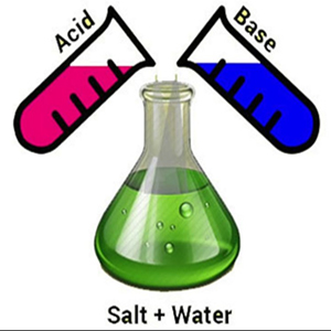 Class X Science Chapter 2 Acids, Bases and Salts MCQs