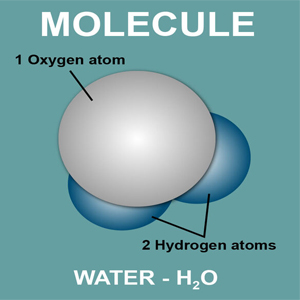 Class IX Science Chapter 3 Atoms and Molecules MCQs 1